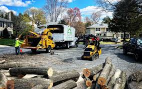 Best Firewood Processing and Delivery  in East Point, GA