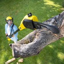 Best Tree Preservation Services  in East Point, GA